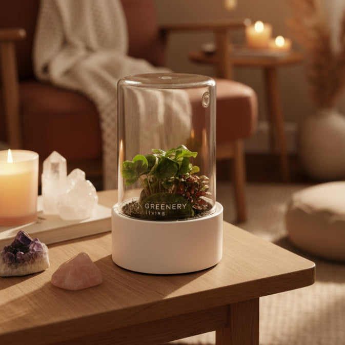 Ikiru Flaschengärten